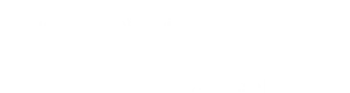 Trisul Electrovision